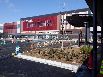 ���ꉷ��w�摜