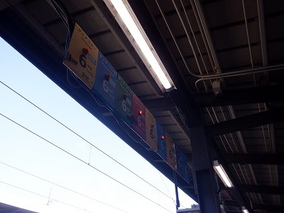 ���ꉷ��w�摜