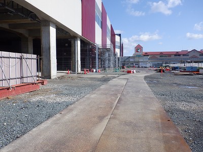 ���ꉷ��w�摜