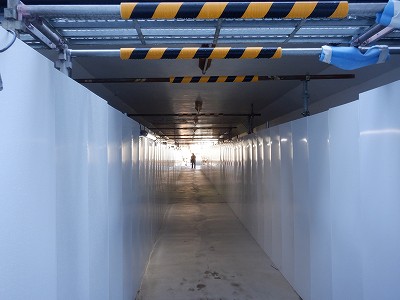 ���ꉷ��w�摜