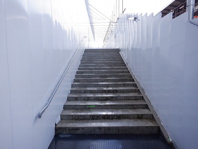 ���ꉷ��w�摜