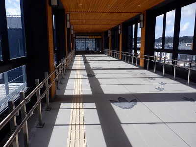 ��������w�摜