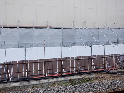 ���ꉷ��w�摜