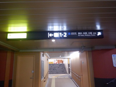 ���ꉷ��w�摜