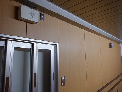 ���ꉷ��w�摜