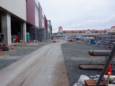 ���ꉷ��w�摜