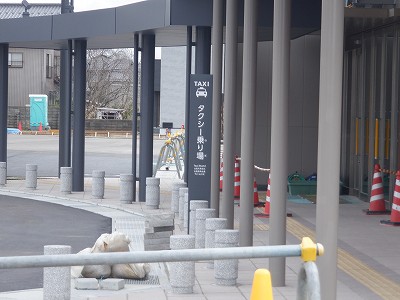 ���ꉷ��w�摜