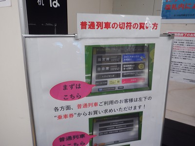 ���ꉷ��w�摜