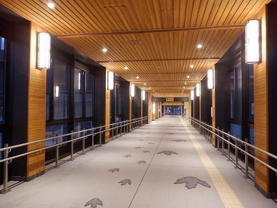 ��������w�摜