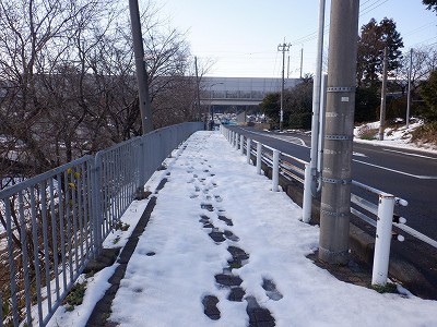 ��������w�摜