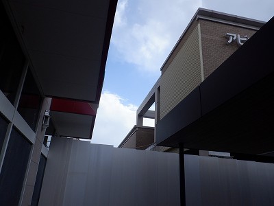 ���ꉷ��w�摜