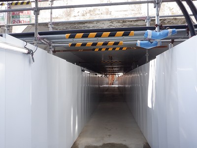 ���ꉷ��w�摜