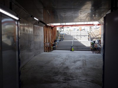 ���ꉷ��w�摜