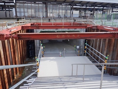 ���ꉷ��w�摜