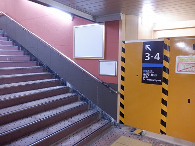 ���ꉷ��w�摜