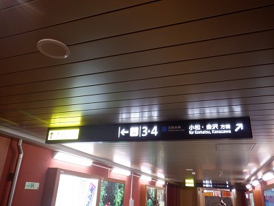 ���ꉷ��w�摜