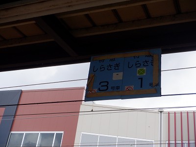 ���ꉷ��w�摜