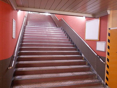 ���ꉷ��w�摜