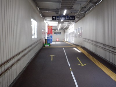 ���ꉷ��w�摜