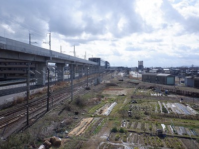 ��������w�摜