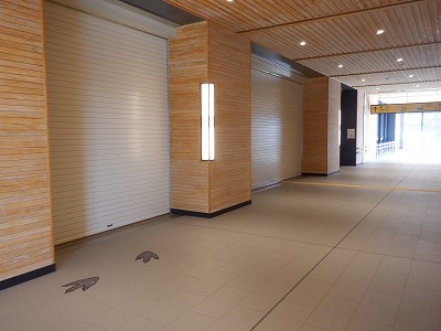 ��������w�摜