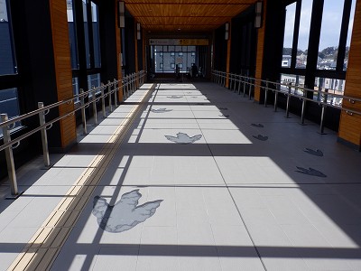 ��������w�摜