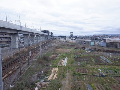 ��������w�摜