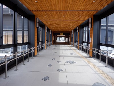 ��������w�摜