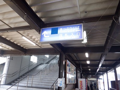 ��������w�摜