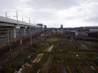 ��������w�摜