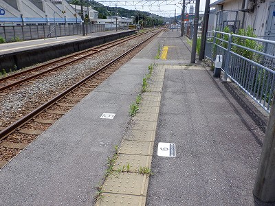 吹w摜