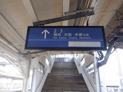 吹w摜