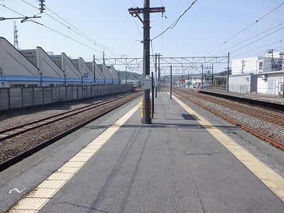 吹w摜