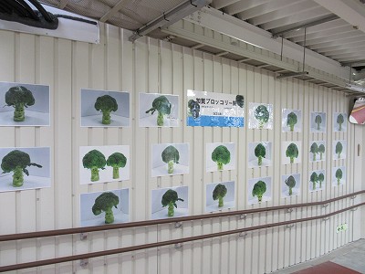 加賀ブロッコリー駅