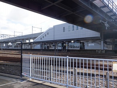 ���C�w�摜