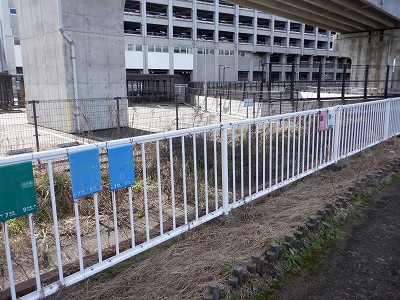 ���C�w�摜