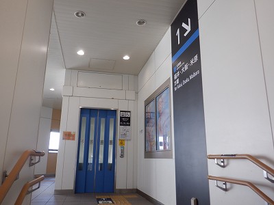 ���C�w�摜