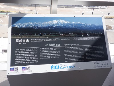 �\������w�摜