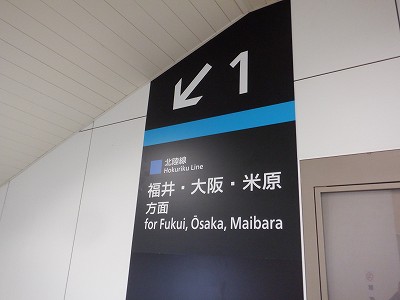 ���C�w�摜