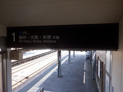 ���C�w�摜