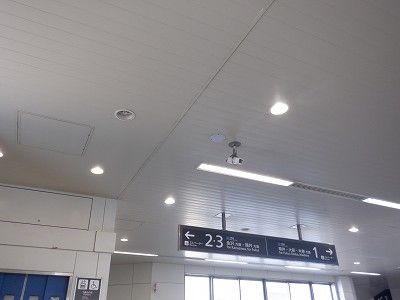 ���C�w�摜