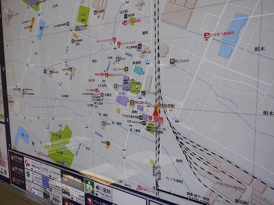 ���C�w�摜