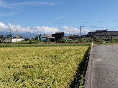 �l���ωw�摜