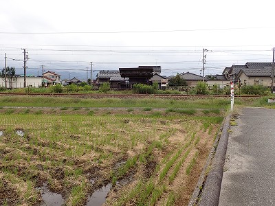 �l���ωw�摜