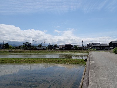 �l���ωw�摜