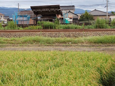 �l���ωw�摜