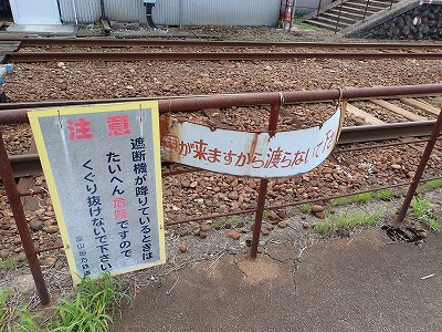 �������ωw�摜