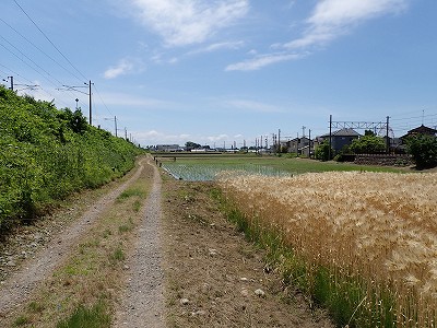 �����Éw�摜
