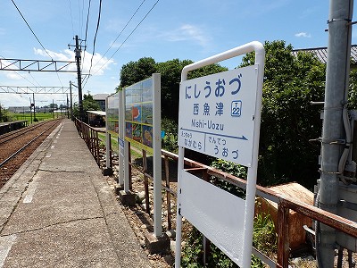 �����Éw�摜