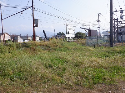 w摜